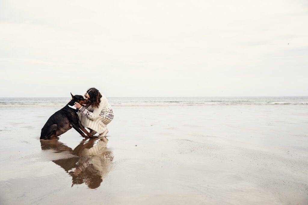 Elderly Dobermann on Beach